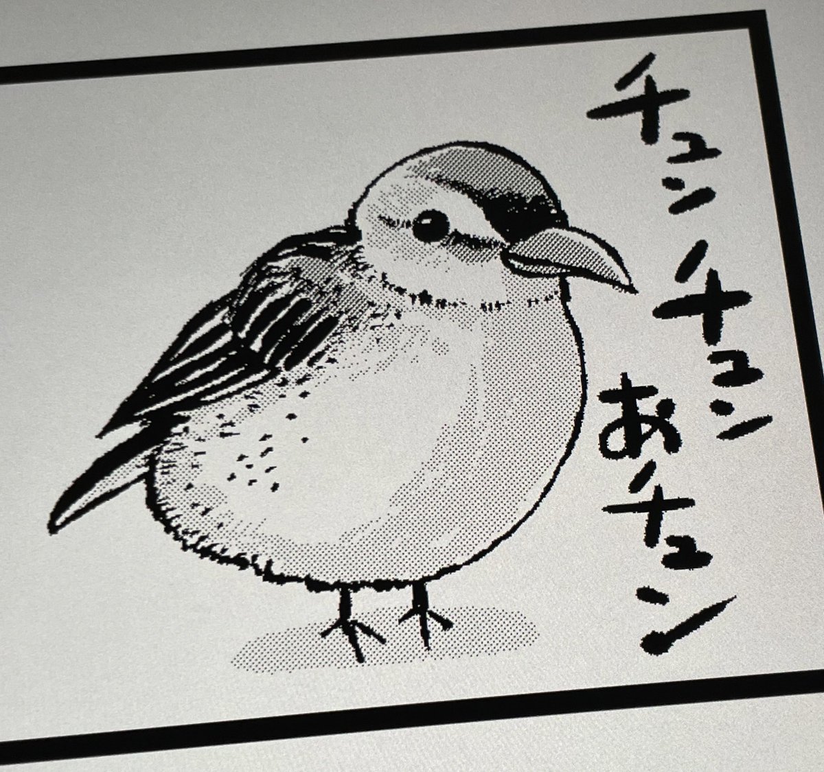 漫画の内容とはまったく関係なく、小鳥描きました。 