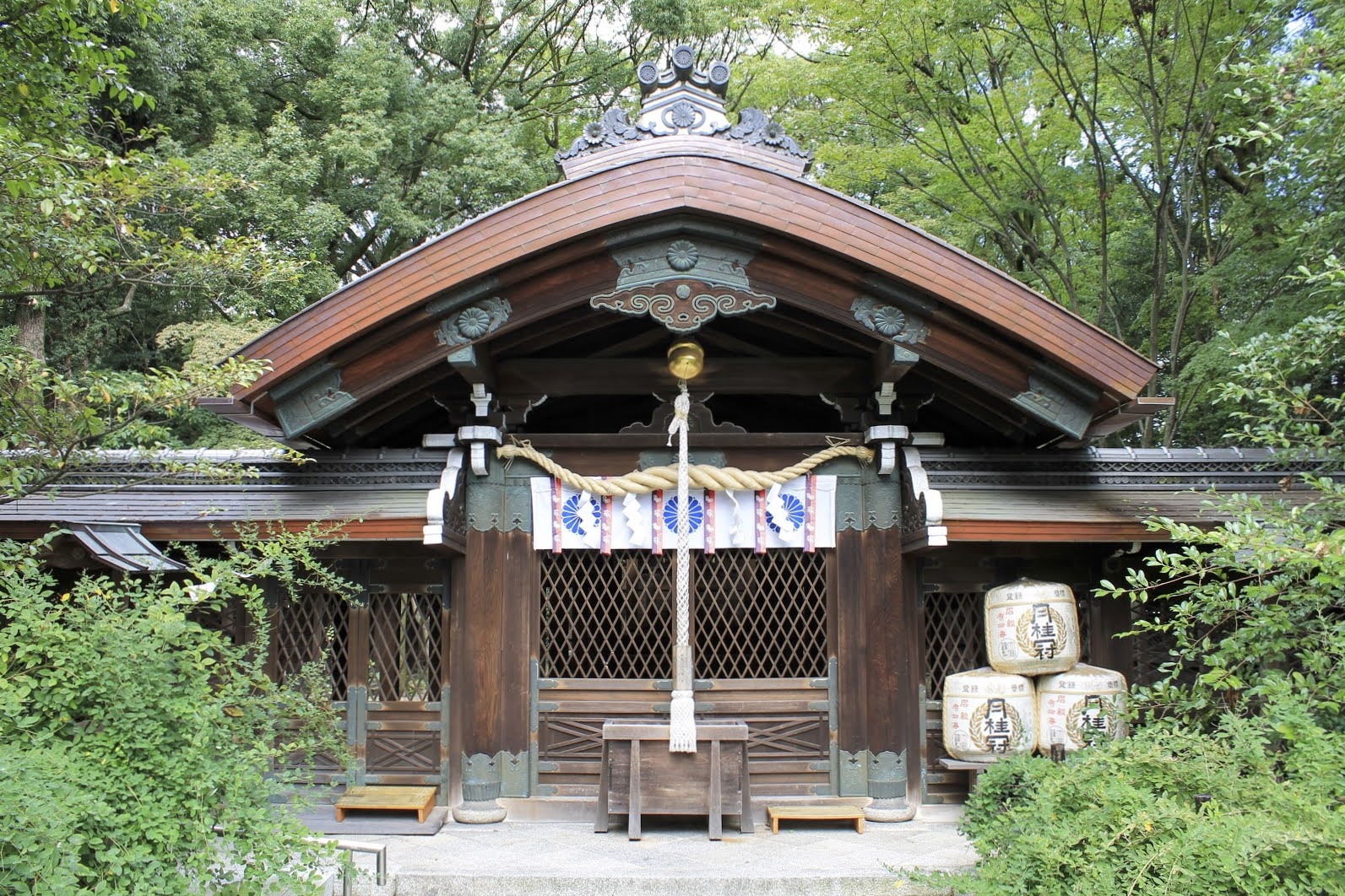 Camellia Tea Ceremony There Is Another Theory Behind The Origin Of The Name Ominaeshi It Is Thought The Yellow Flowers Were Likened To Onna Meshi 女飯 The Cheaper Less Polished Rice Often