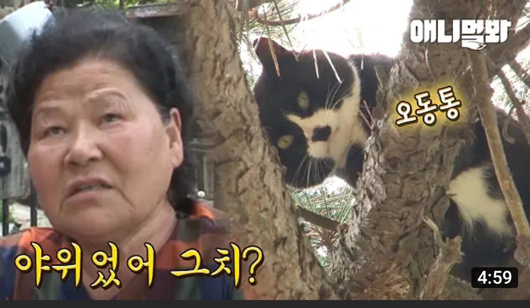 리듬 ⍢⃝🕯 tweet media