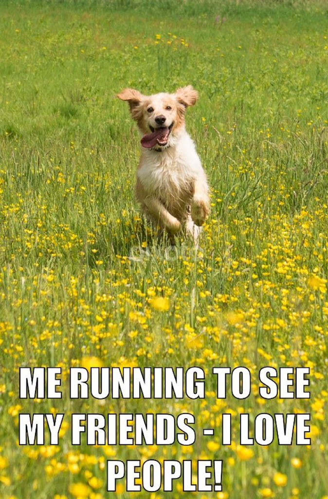 Grace Robinson tweet media