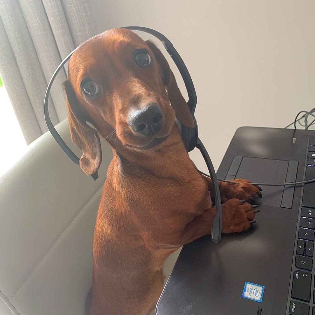 Bom dia, a senhora já tentou comer o boleto?, image size:1080x1080