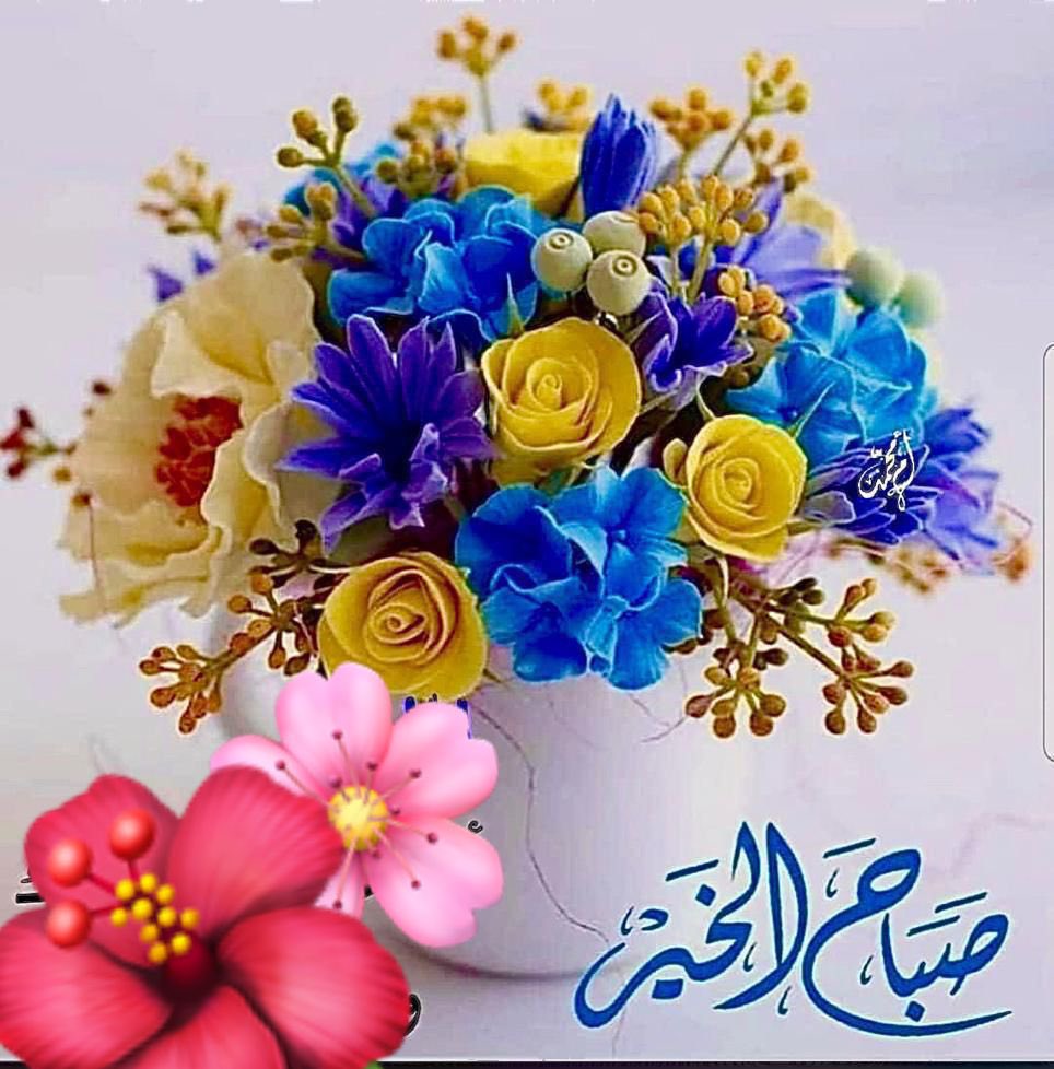 salshamrani77's tweet photo. https://t.co/qtloL0rsxE