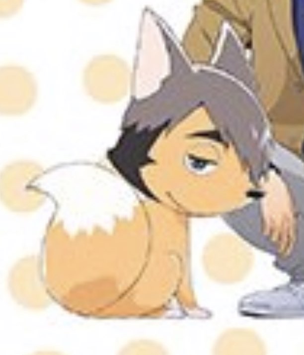 จิ้งจอกซามุววววว