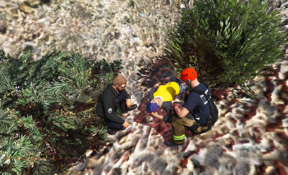 JDobermann_GTA's tweet photo. 1st day back. Helping a hurt hiker. I heard shes going to make a full recovery. :) https://t.co/llIJnCh4nt