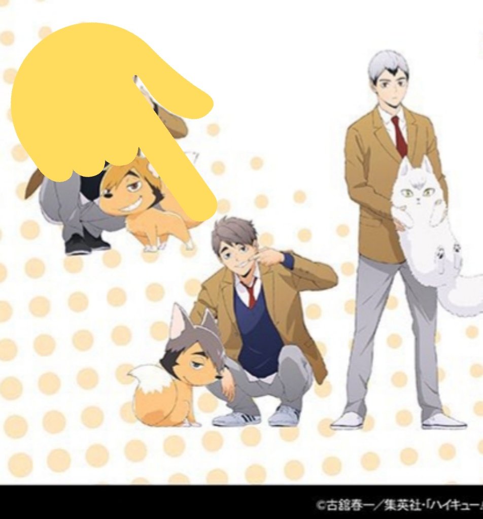 เห็นกันหรือยัง ?