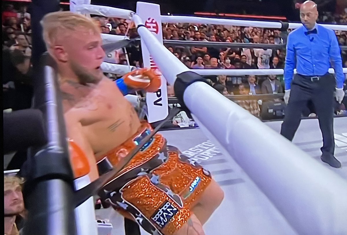 Mr_Ahsan_Raza's tweet image. Nate will k.o him in very first round...