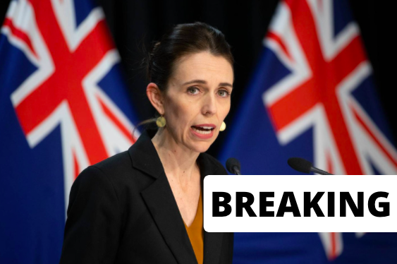 nzherald tweet media