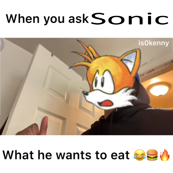 Tails The Fox tweet media