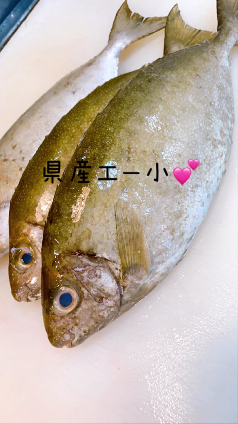 アイゴ好き Twitter Search Twitter