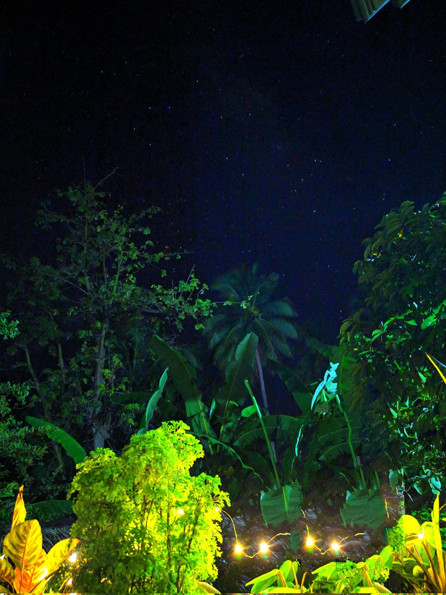 EstrabelaTrisha's tweet photo. Look at the stars
Look how they shine for you
And everything you do
Yeah, they were all yellow https://t.co/R2prkk0ZMZ
