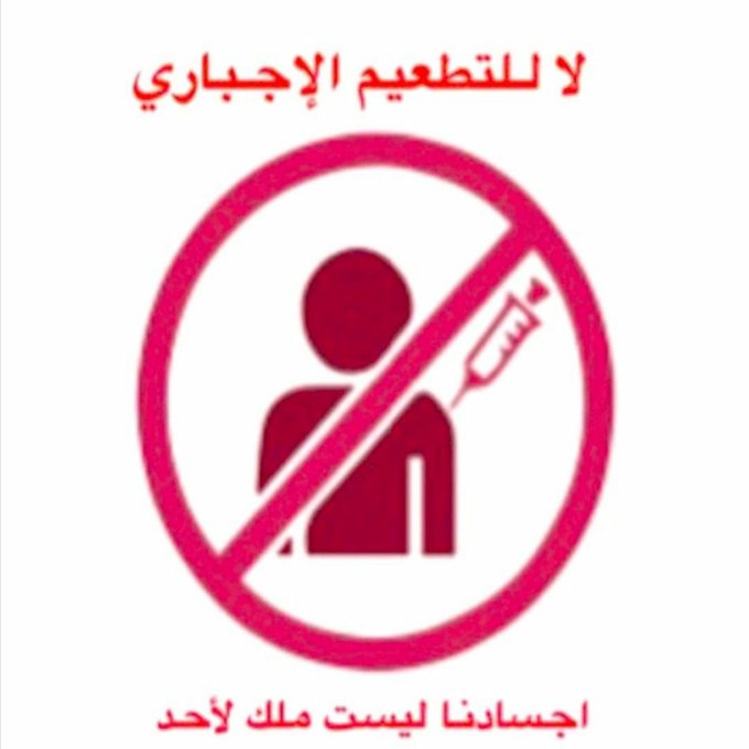 الحــــوت  المصـــري tweet media