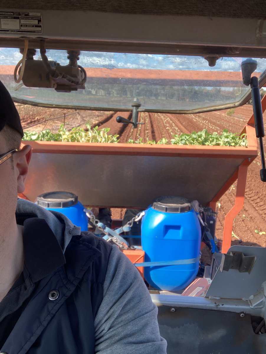 #planting #sweetbroc great day for it!