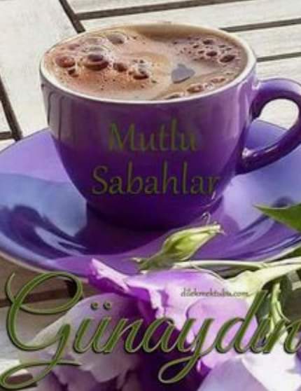 MehmetKayc5's tweet photo. @burcak4070 https://t.co/OKx9sj1P7I
