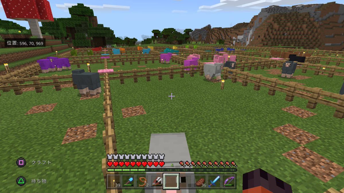 こんそめ カラー羊牧場 マイクラps4 Ps4share こんそめ カラー羊牧場 マイクラps4 Ps4share