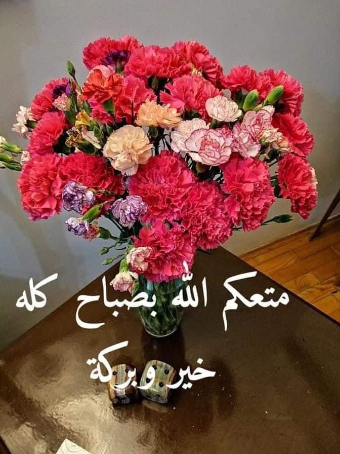 Tt4eRmshukri's tweet photo. https://t.co/mqczr6wdNG