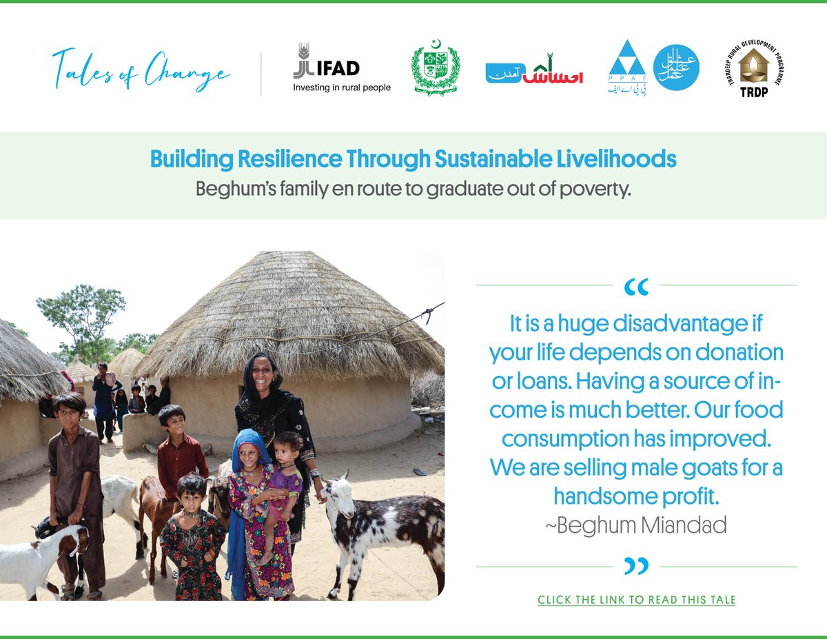 PPAFofficial's tweet photo. Read this tale of an encouraging rural woman, Beghum, who started livestock trade in the Thar desert of #Pakistan with the support of @GovtofPakistan🇵🇰 & @IFAD.
🔗https://t.co/euxUDKka5z
#RestoringHopes💙
#InvestInRuralPeople👨👨👧👦
#TalesOfChange🏆 https://t.co/cutgUJ4Kv6