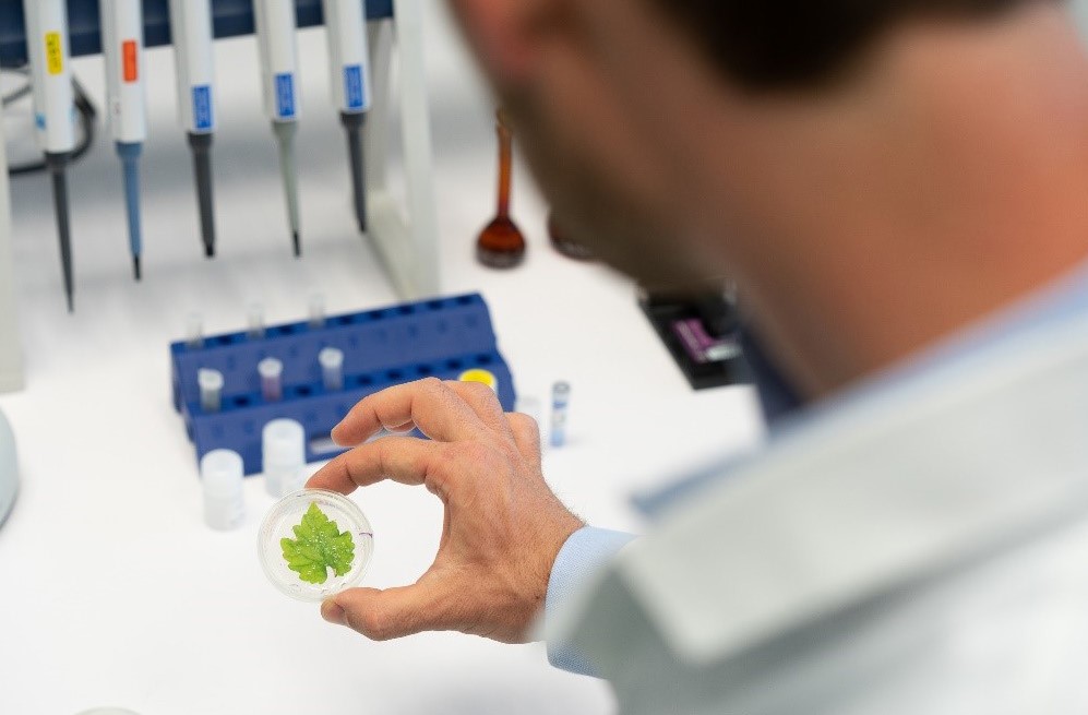 ekcuhungary's tweet photo. #UniEszterházy using EU opportunities supporting #economic development and #innovation goals, #created high-tech #labors and #built a great #team.

Read more (HU) https://t.co/lGcy38CYcK

#research #development #bestoftheregion https://t.co/B93yeOtwA6