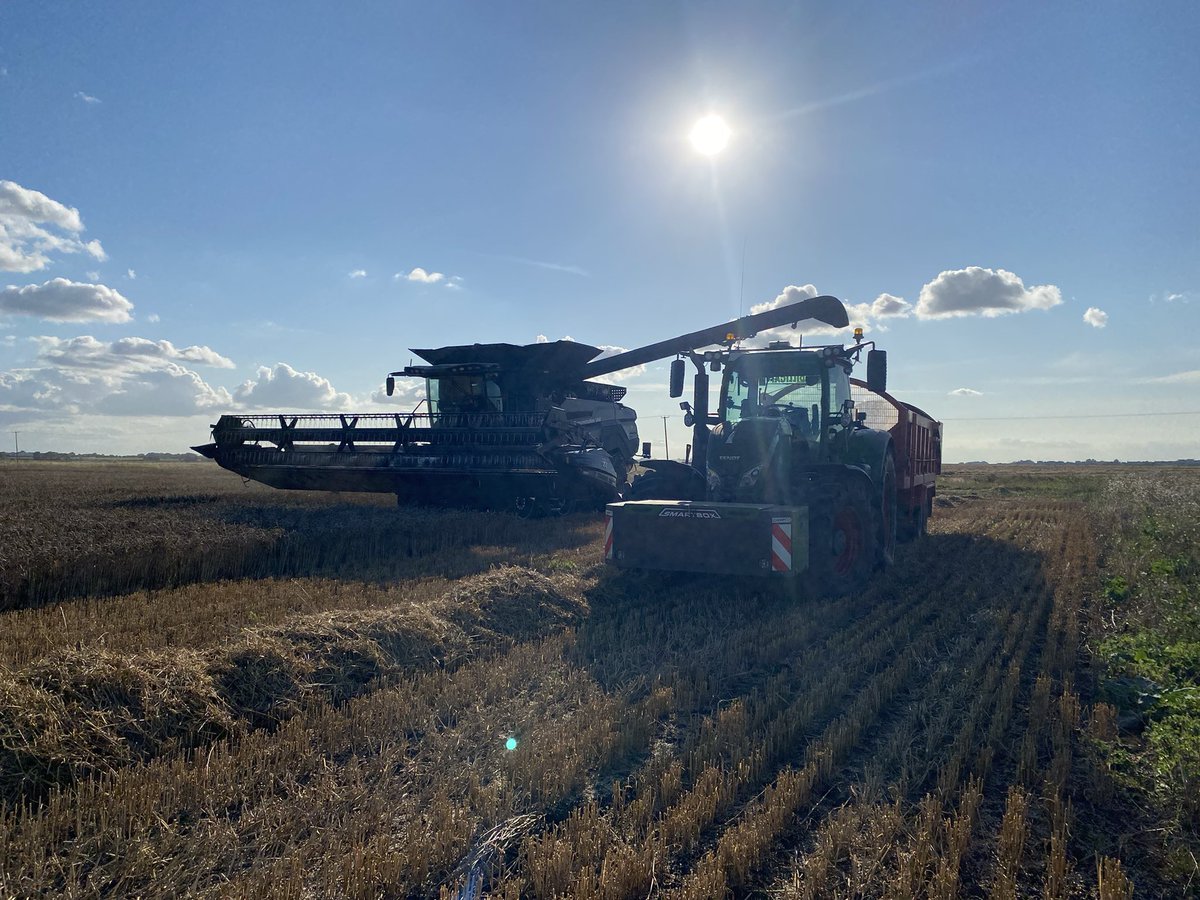 Legge Farms tweet media