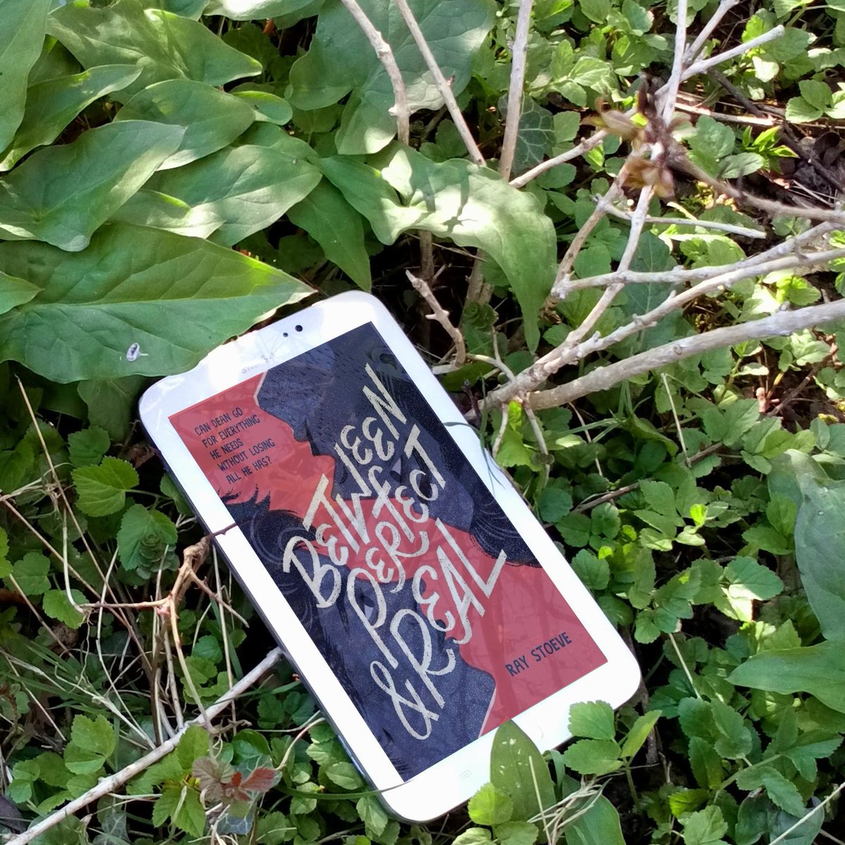 JRoseWordsmith's tweet photo. Want a YA contemporary with all the feels? #BetweenPerfectAndReal is raw & emotional, and if it doesn't leave you a little bit teary & a lot bit hopeful, I'm not sure there's any hope for you.
#TransBooks365 https://t.co/A7fQ7AvafD