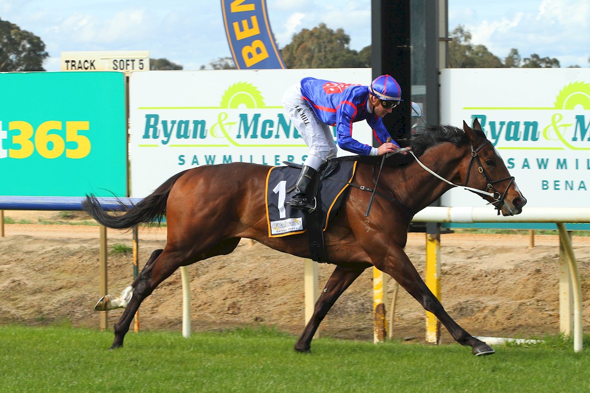 RolltheDiceRace's tweet photo. Congrats to the owners of Get In The Queue winning at Benalla today after a little let up. Great ride by @jack_hill25 and well prepared again by @MickPriceRacing @MichaelRhysKent #StartRolling #ruready2RTD #getinthequeue ๐ฒ๐๐ฌ๏ธ https://t.co/HzlpWs8dga