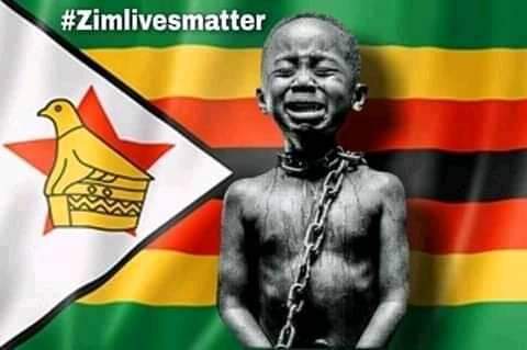 ChamatinhariC's tweet photo. @zanupf_patriots The fools choice https://t.co/2d278VK4V8
