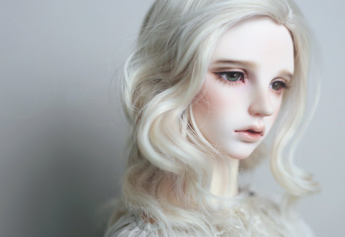 rt 흰 꽃무릇이 예쁘고 우화가 떠올랐다.