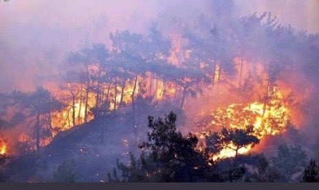 Dersim yanıyor Ses Ver.
#DersimYanıyorSesVer