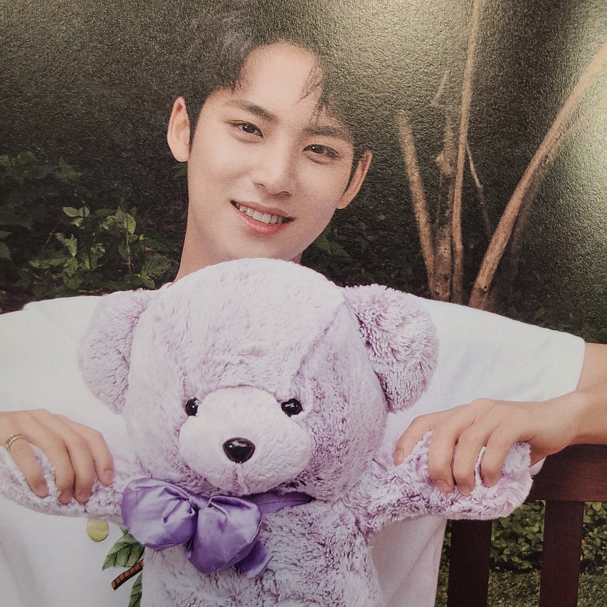 archiveforsvt's tweet photo. dicon bear photocards #민규 https://t.co/EcPvfPD3I7