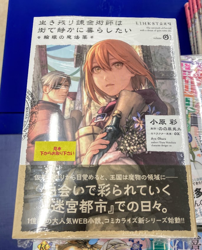 生き残り錬金術師は街で静かに暮らしたい 生き残り錬金術師は街で静かに暮らしたい