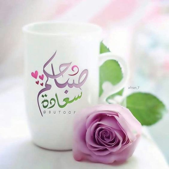 اللهم صباح.. 
تنجلي به الهموم. 
وتغفر به الذنوب. 
ويكتب لنا به الخير حيث م يكون.. 
. 
#صباح_الخير_والسعاده 🌷