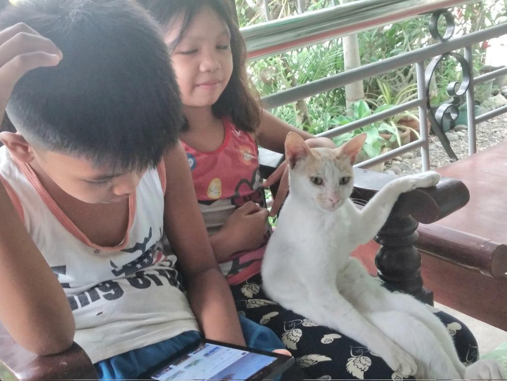 JharichC's tweet photo. Hello meet ARCHIE🐈🐈🐈 our lovable cat 😘❤❤❤ he likes on the laps... like a baby 😊😊😊😘
#LovableCat #CutieCat #LovetheCat https://t.co/PySGO0QXRU
