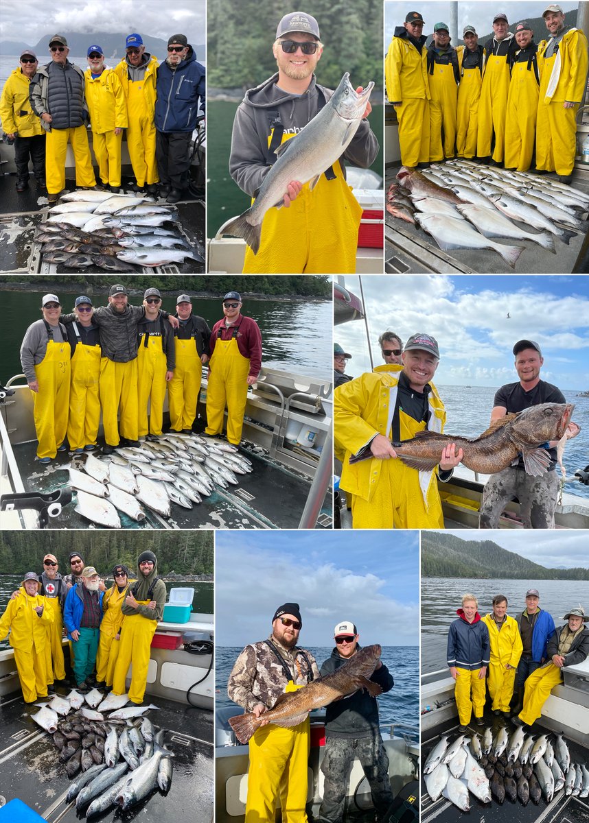 8-29-21: Cohos continue to charge the bait! #sitka #salmon #alaska #lingcod #fish #fishing #saltwaterfishing #fishinginsitka #fishinginalaska #sitkafishing #alaskafishing #familyfishing #wildstrawberrylodge #alaskapremiercharters #visitsitka #cohos #cohosalmon #silversalmon #ak