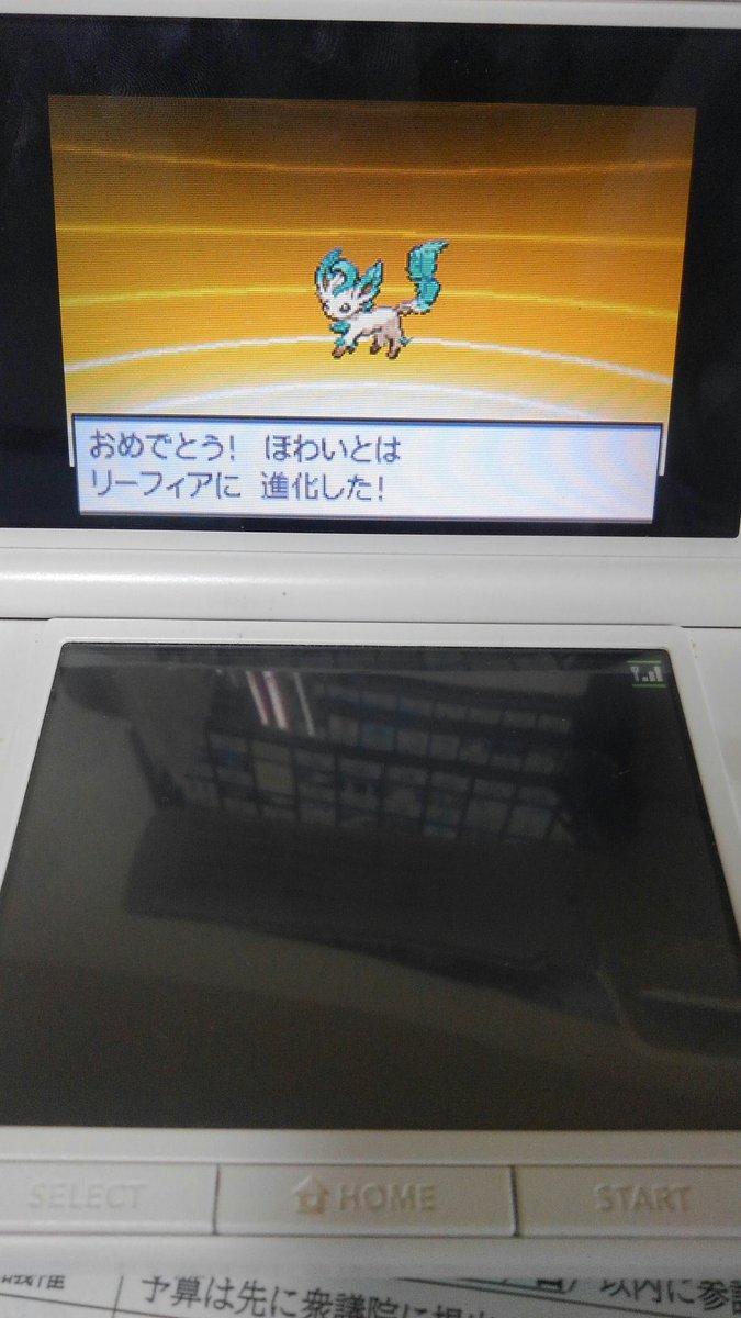 ほわいと V Twitter チームりちっちでブラック2シナリオ攻略 わざわざ3ds2台用意してイーブイをブラック2からホワイトに送って無理矢理進化させたぜ でもこいつまともな技シナリオ中で覚えないから困るぜ ほわいと V Twitter チームりちっちでブラック2シナリオ攻略 わざわざ3ds2台用意してイーブイをブラック2からホワイトに送って無理矢理進化させたぜ でもこいつまともな技シナリオ中で覚えないから困るぜ
