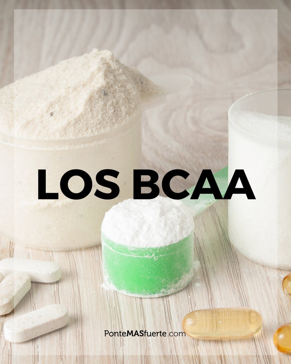 Los Bcaa, los aminoácidos encargados de señalizar el inicio de la síntesis de la proteína 💪

¿Quieres saber más sobre ellos? ¡Entra en el enlace y entérate de todo! ➡️bit.ly/3kDIpx4