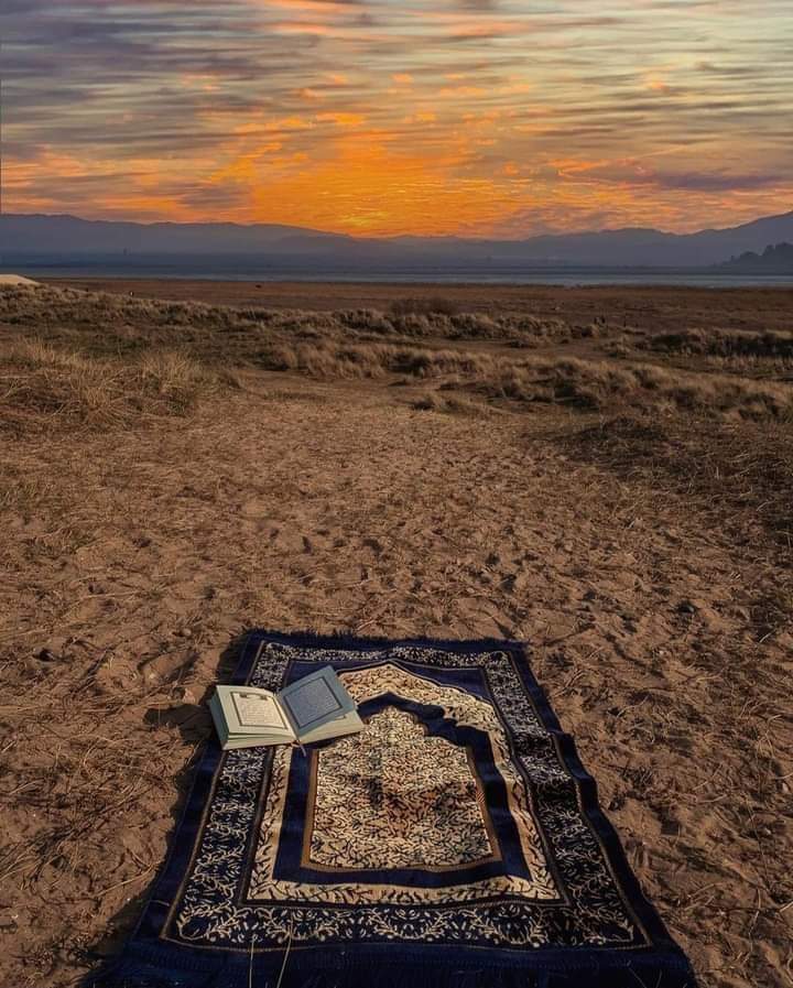 قمّة الرّاحه

﴿ ورحمتِي وسِعَت كُل شيء ﴾