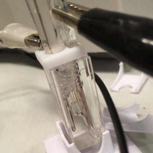 Sina Wrede tweet media