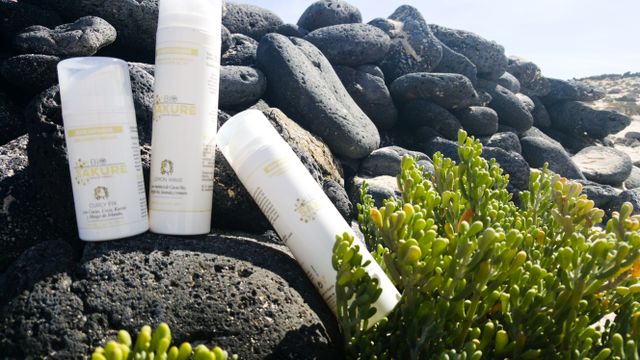 BioSakure's tweet image. ¿Tienes el pelo rizado y no sabes cómo gobernarlo? Prueba con este Pack, hidratación, proteínas y definición &amp;gt;&amp;gt; bit.ly/evitafrizz