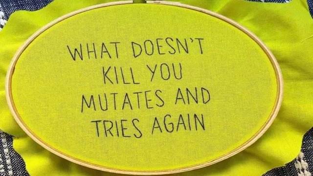 Ninja Economics (@ninjaeconomics) on Twitter photo 