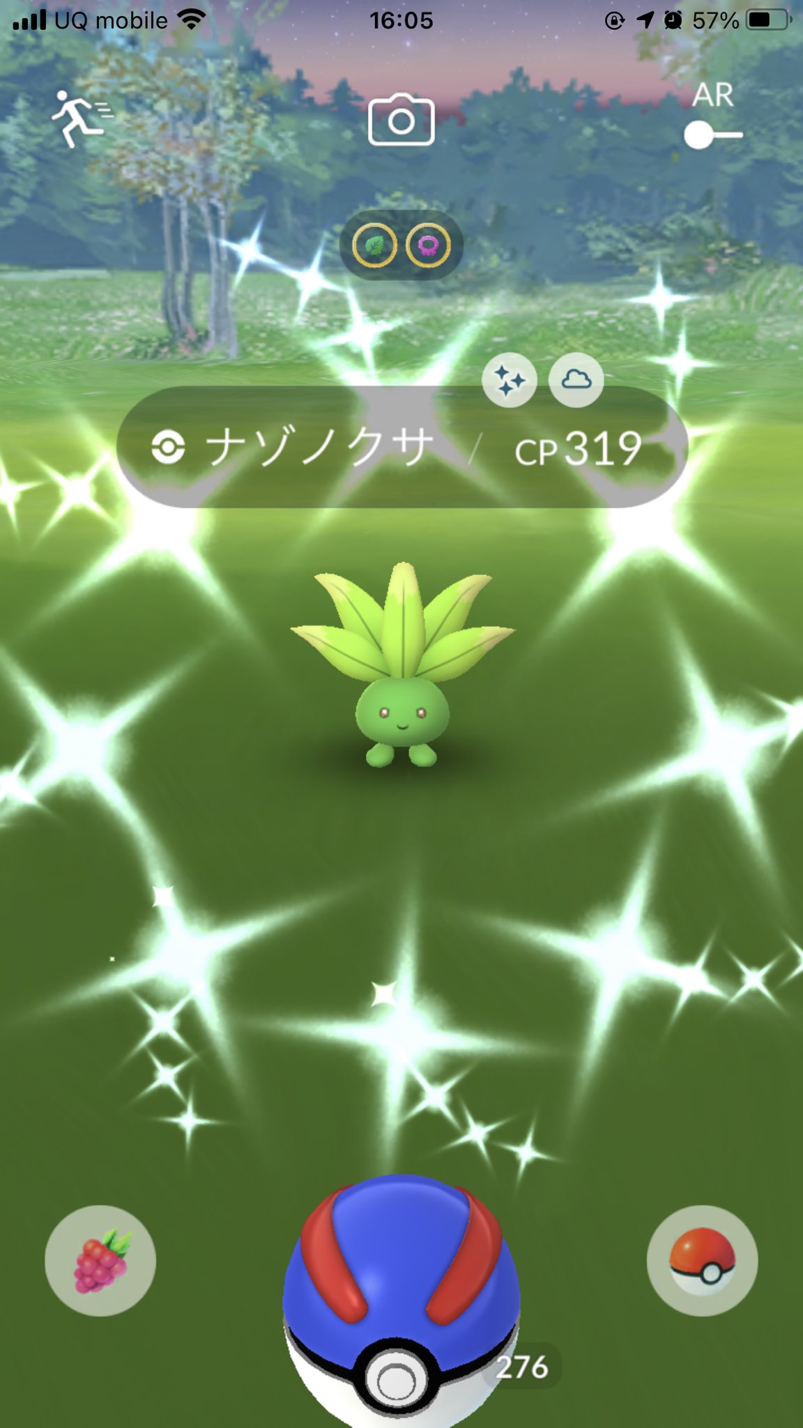 オミ ポケモンgo 黄 Lv 37 Basashi 0515 Twitter