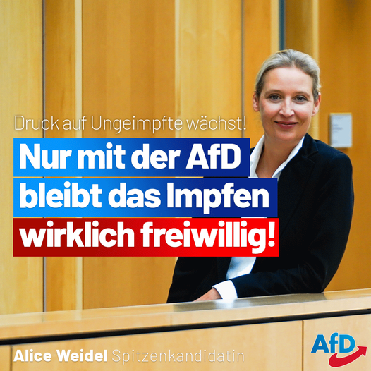 Alice Weidel tweet media