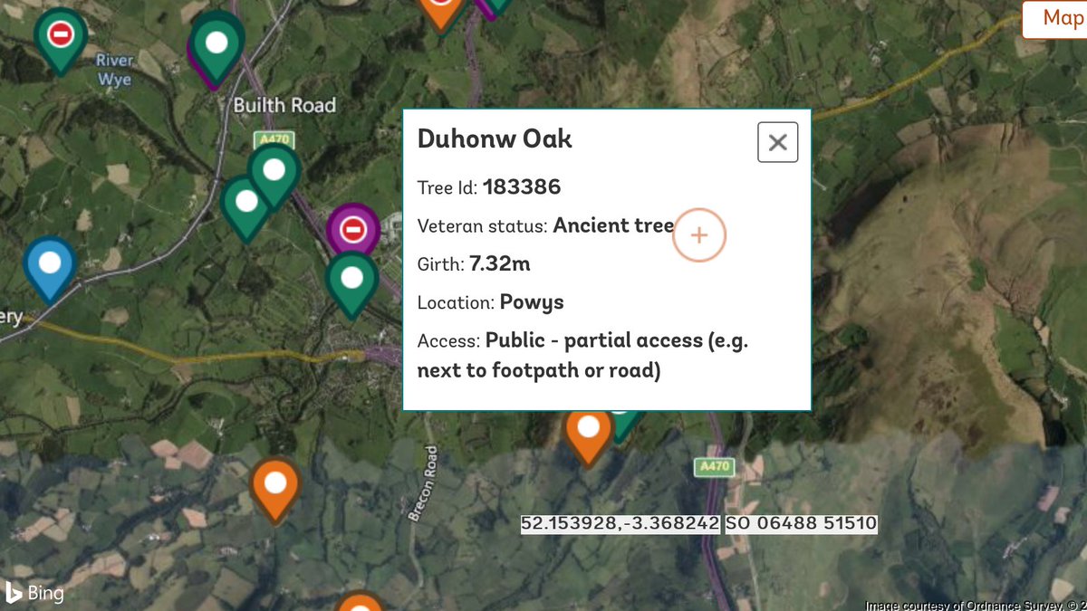 “#Choose one #tree to represent YOUR county @TiCLme just one one” 🌳 👉 I nominate the #DuhonwOak of Powys 7.32m girth, Approx 600 yrs old around in 1400’s Henry IV & the Rebellion in #Wales under Owain Glyndwr ati.woodlandtrust.org.uk/tree-search/?v… @maryhgagen @Safernoc934 @McQuadeJess