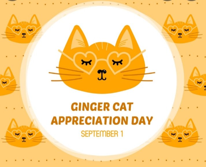 Gladstone 🇺🇦 tweet media