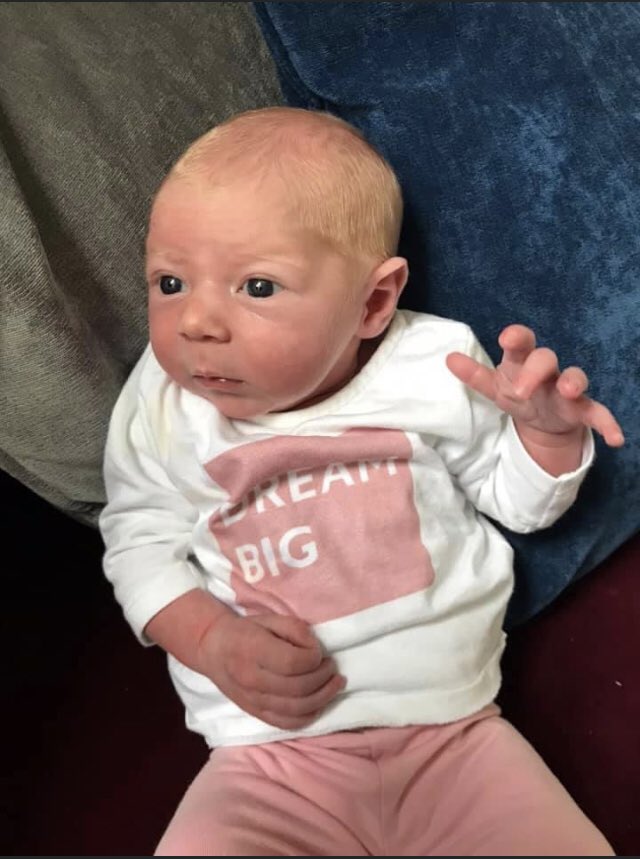 holliejp's tweet photo. I’ve been super active these last few days fetching, carrying and rocking this little one. #Margo #NursesActive #SCFTActive #Grandma https://t.co/SUDyuho4Kb