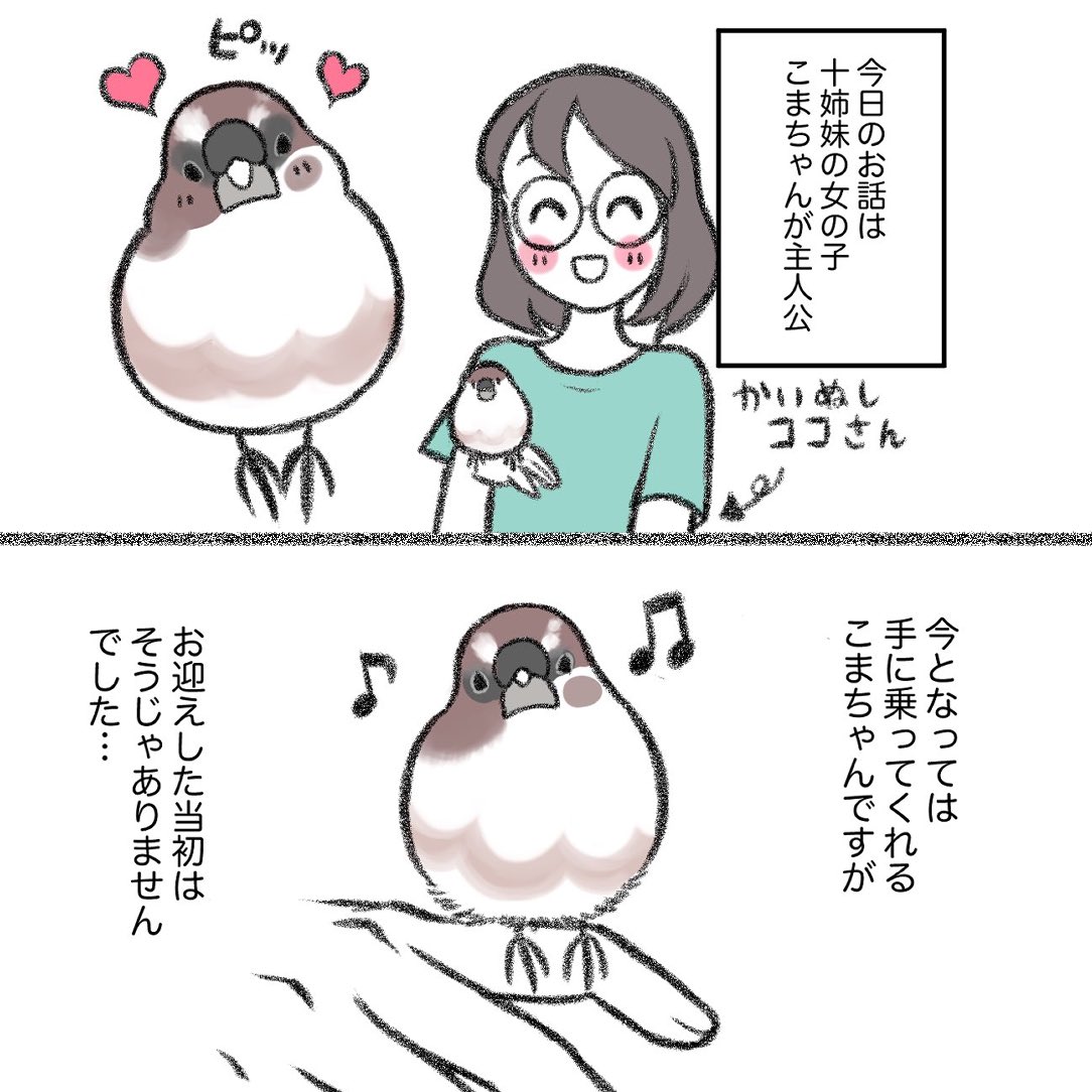 インスタに以前描かせていただいた
十姉妹のこまちゃんのマンガをアップしました🐥

続きはこちらから↓↓🐥🐥
https://t.co/yIkqG0tUIt 