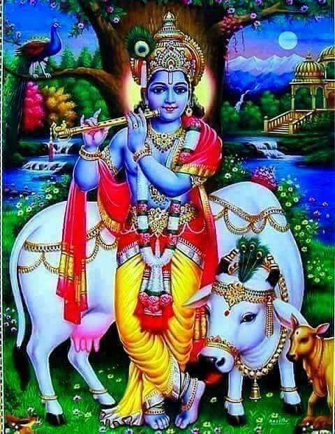 श्रीकृष्ण गोविन्द हरि-मुरारी !🙏
हे नाथ नारायण वासुदेवाय !!🙏🙏
श्रीकृष्ण जन्माष्टमीको हार्दिक शुभकामना !
🙏💖🙏💖🙏💖🙏💖🙏💖🙏💖🙏