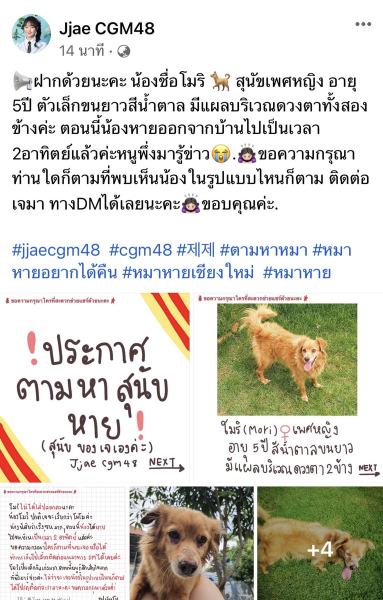 na_fill's tweet photo. ถ้าใครเจอรบกวน dm ไปหาน้องหน่อยนะครับช่วยๆกัน ครับ🙏
#JjaeCGM48 https://t.co/h28vvI2Mix