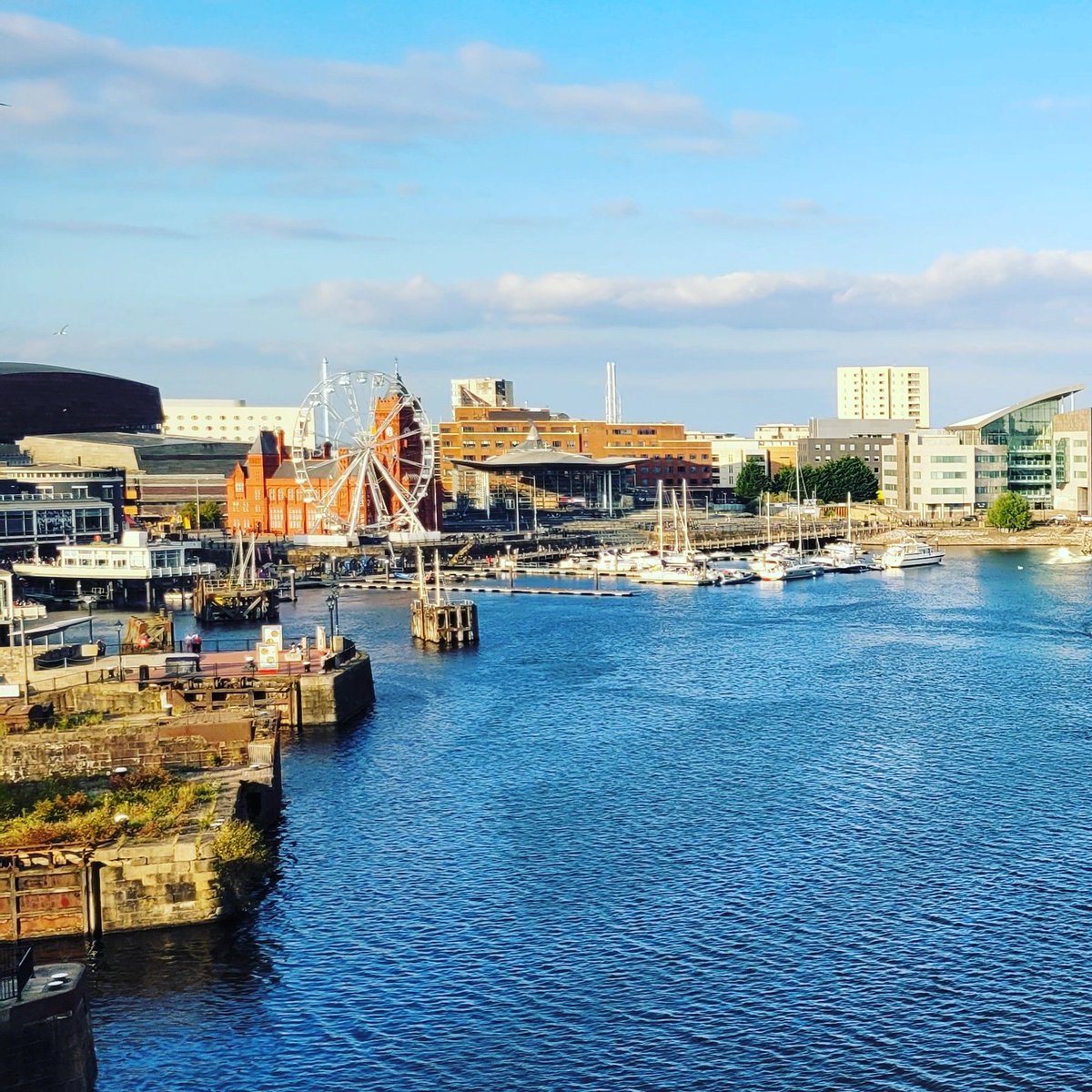 kieran lenihan 🍀 tweet media