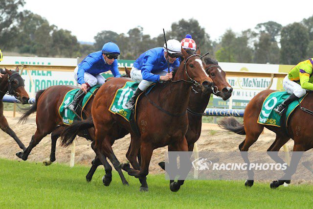 Suricate getting the win on Debut for <a href="/FreedmanRacing/">Anthony Freedman Racing</a> and <a href="/godolphin/">Godolphin</a> today at Benalla. Very progressive filly with better things in store 🙌🏻