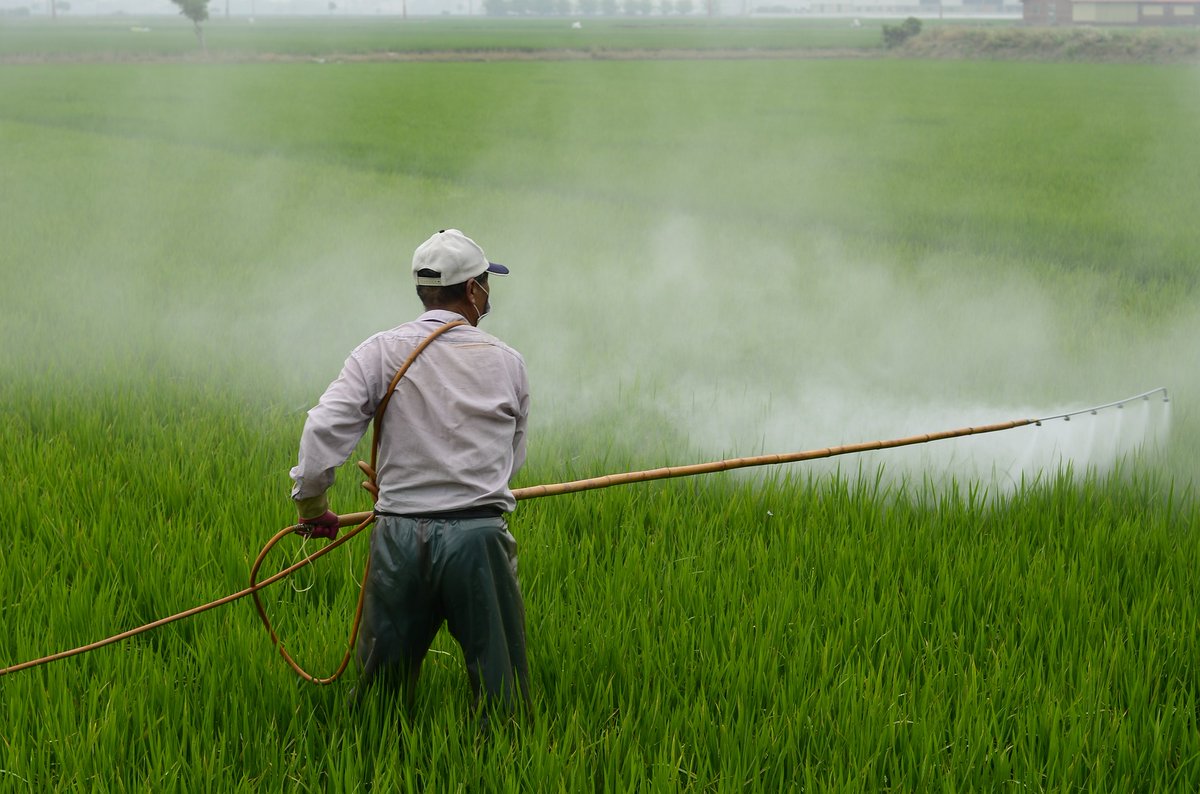 DevChanl's tweet image. #DevelopmentNewsUpdate

#Pesticides used in everyday life contributing to the global #obesity epidemic

developmentchannel.org/2021/08/30/5-5…