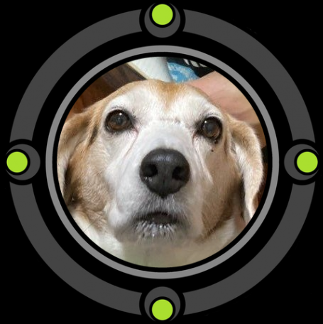 JunCabrera15's tweet photo. FBプロフィール画像の枠組みで、
Ben 10ごっこする俺!

写真のおっさんは、
エリホというUMAなので、
自分ではありません。

ビーグル犬のシャンティを、
オムニトリックスでDNA保存完了!

エイリアンだけでなく、
イヌに変身したらどうなるんだろう?

面白いなぁ? https://t.co/XtcYUdOuK6